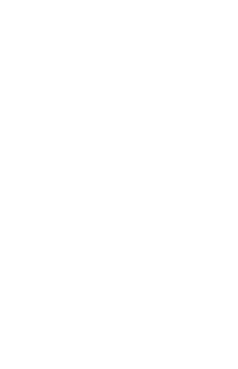 Wing Decoration