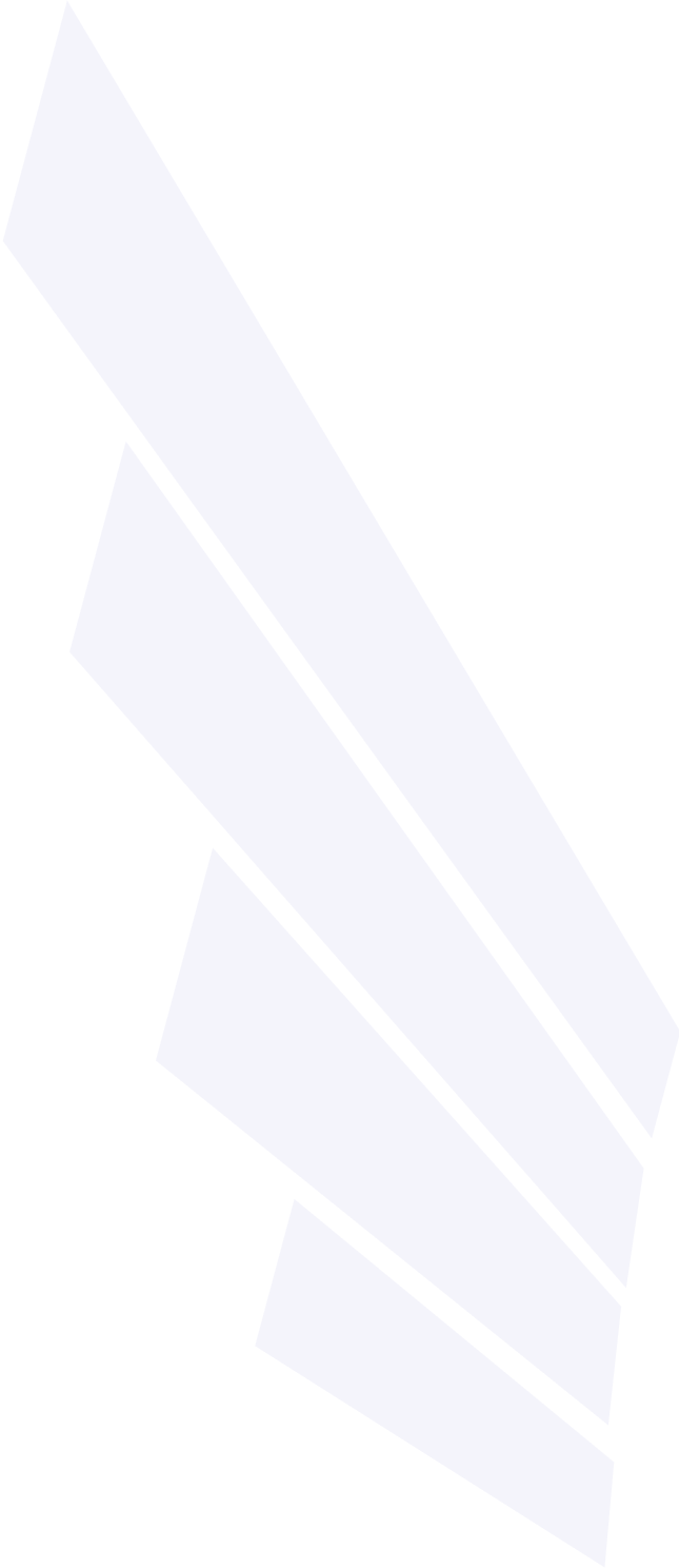Left wing decoration